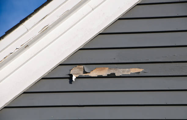 Best Custom Trim and Detailing for Siding  in Mary Esther, FL